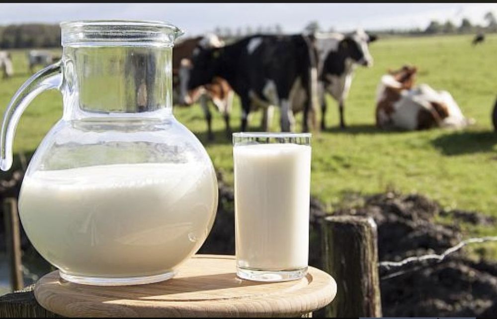Vand lapte de vaca