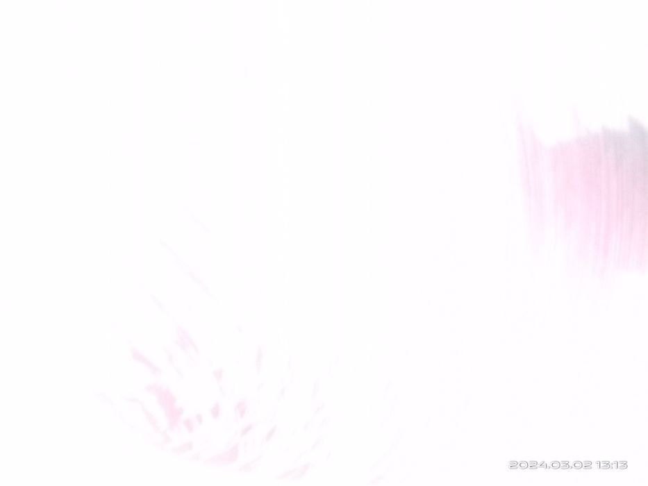 Шторы с тюлью. Зал.