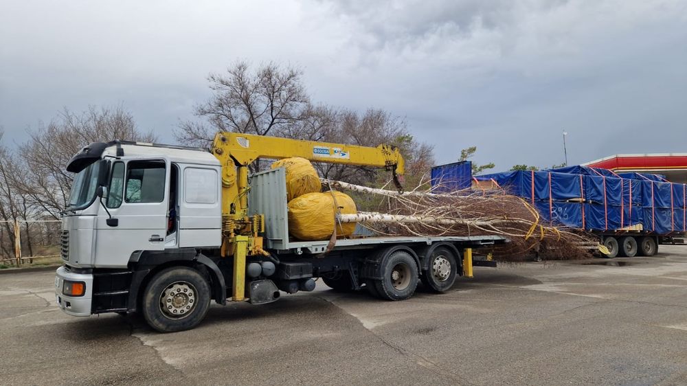 Услуги Манипулятора