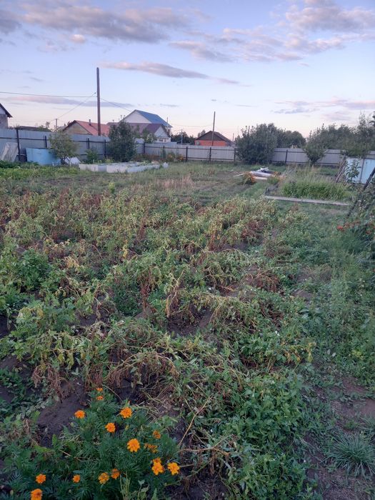Продам участок садоводство Клён.