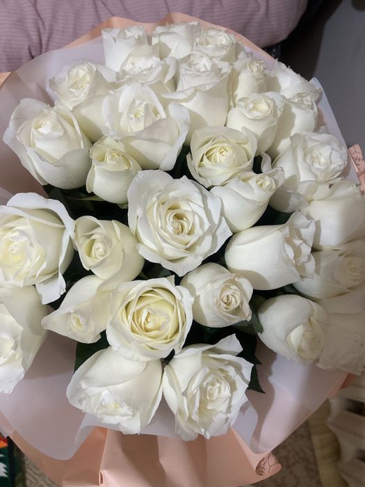 Цветы белый роза