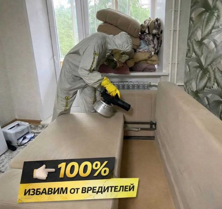 Дезинфекция! Насекомые дома? Пора решить проблему раз и надолго
