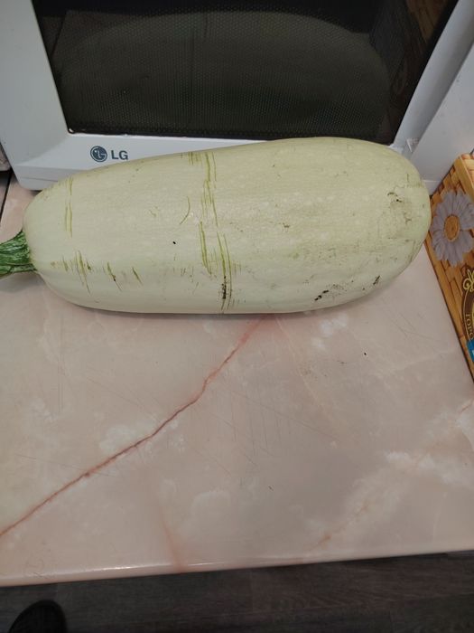 Кабачки продам...