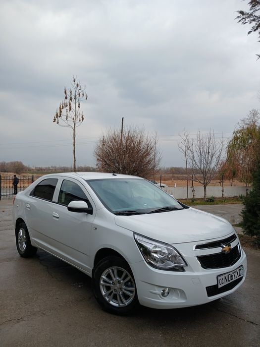 Cobalt 2025 GX-Style AT Plus sotiladi