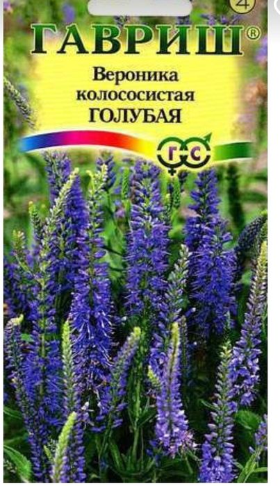 Растения для сада многолетние