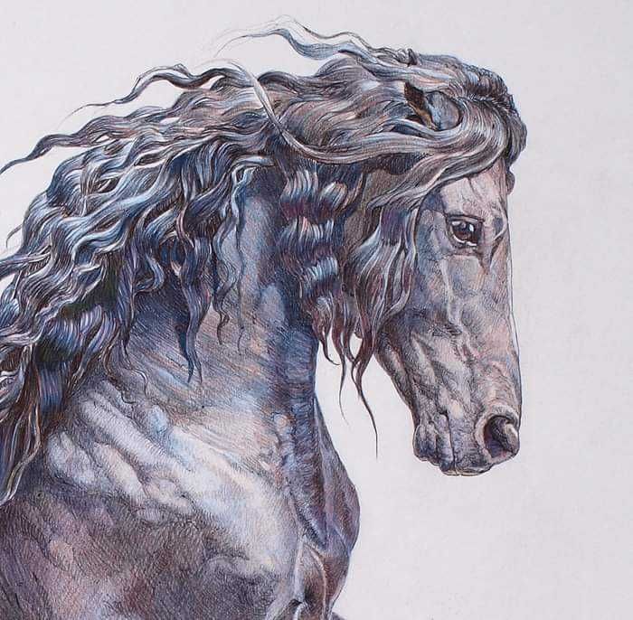 Прекрасни  картини