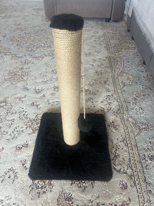 Когтеточки для котят