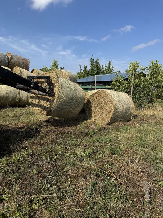 Vand baloti lucerna  rotunzi,mari