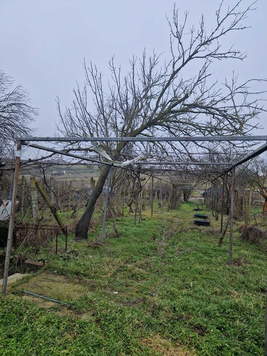 Продава се Парцел в Варна, Конфуто - 600 кв.м за 30 €/кв.м - Снимка #5