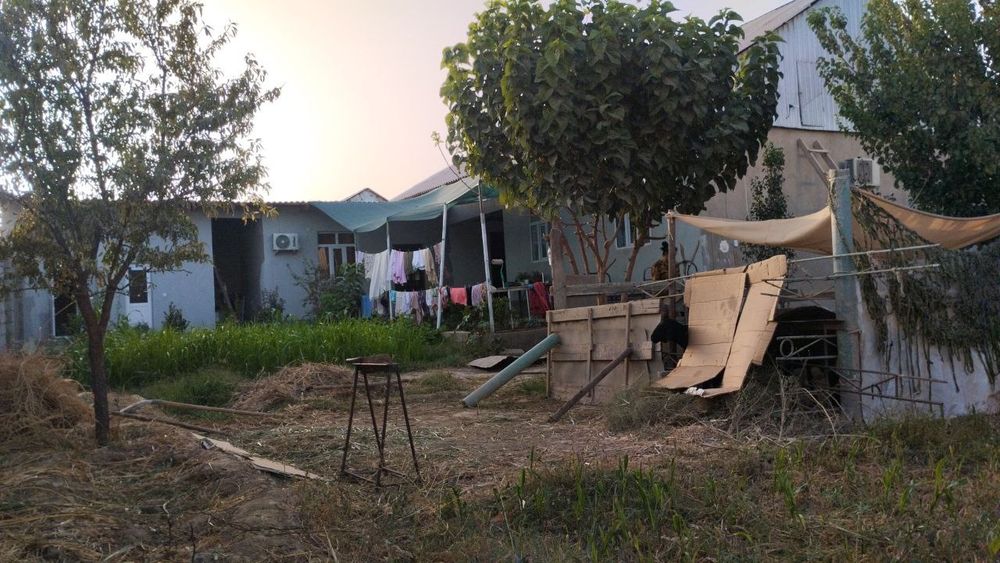 Ховли уй! 6 сотик, 6 хонали!