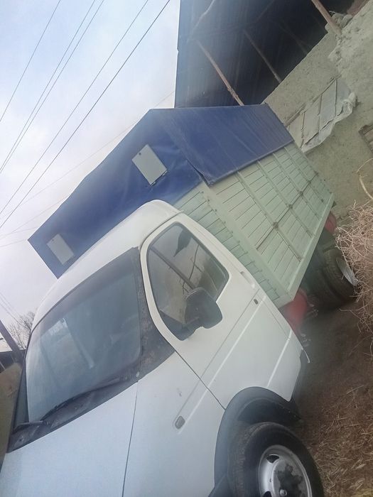 1998 qolgan maʼlumot tilfnda