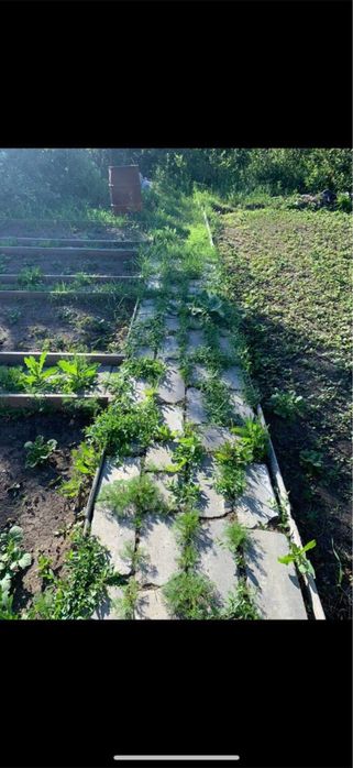 Продам дачный участок