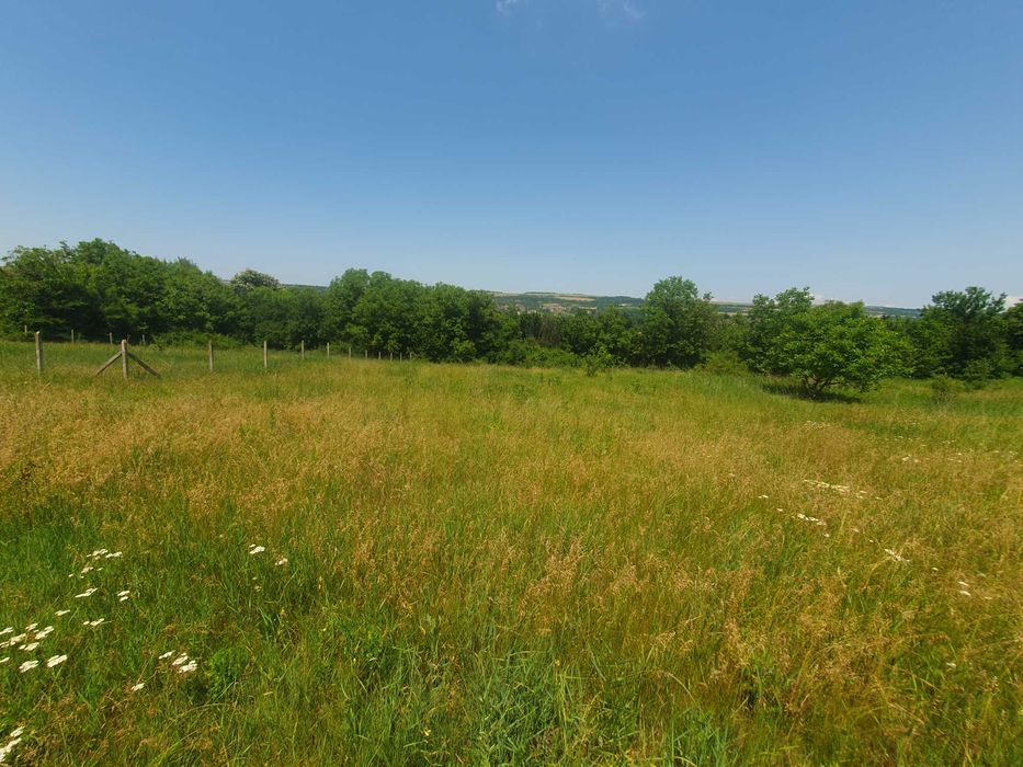 Продава се Парцел в с. Шемшево, Област Велико Търново - 1200 кв.м за 19 €/кв.м - Снимка #2