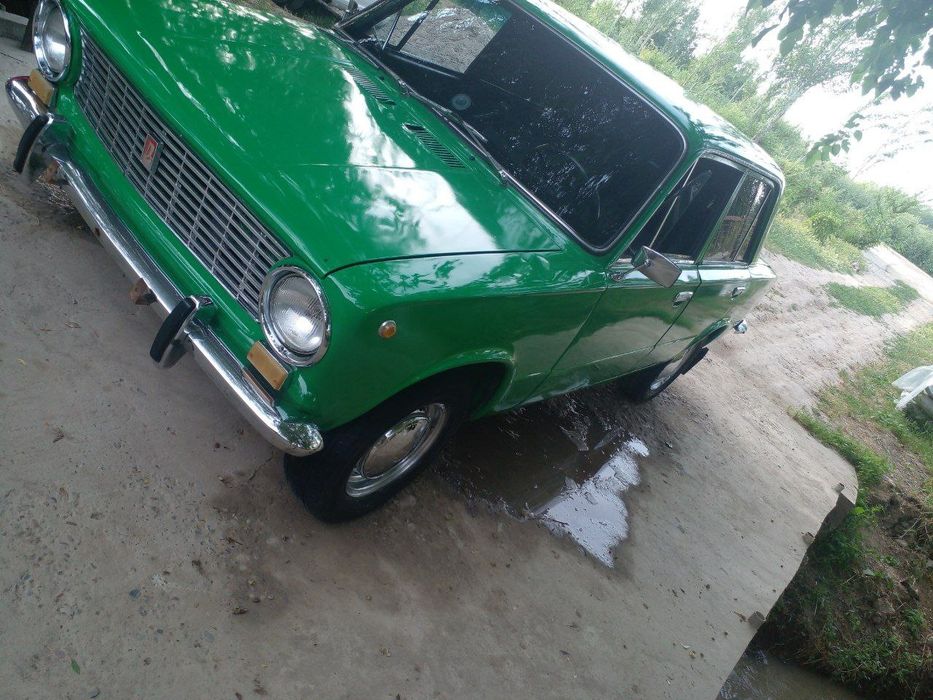 Toshken yangi chinoz