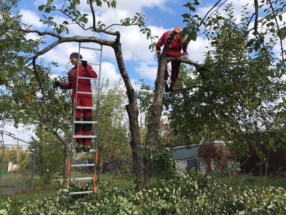 Садовник/обрезка/стрижка/спил/посадка пересадка опора деревьев и уход