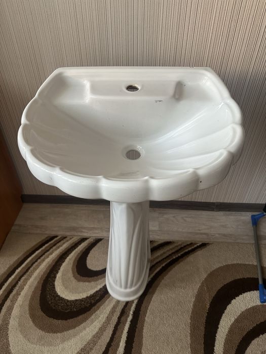 Раковина, тюлпан