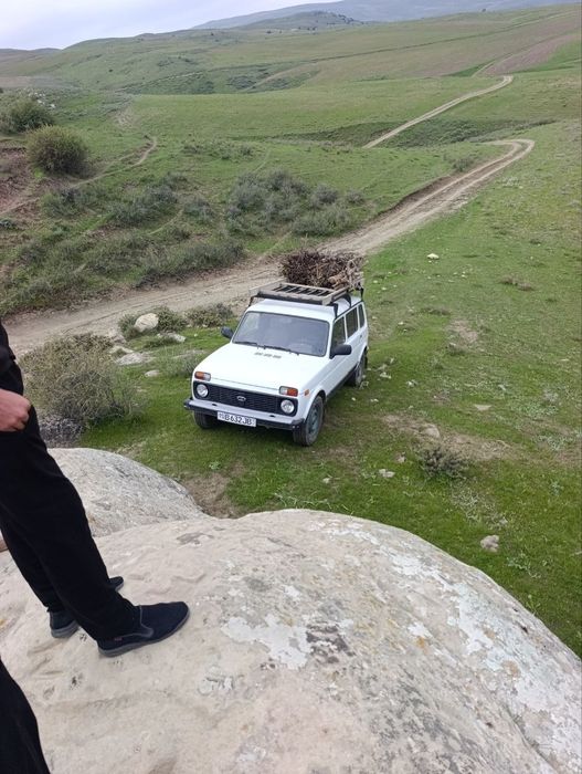 Niva 4x4 2131 ..
