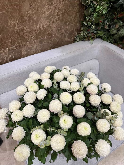 Белые помпонные хризантемы