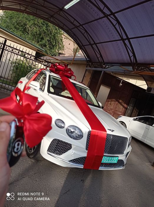 Лента бантик,lenta Avtobantik