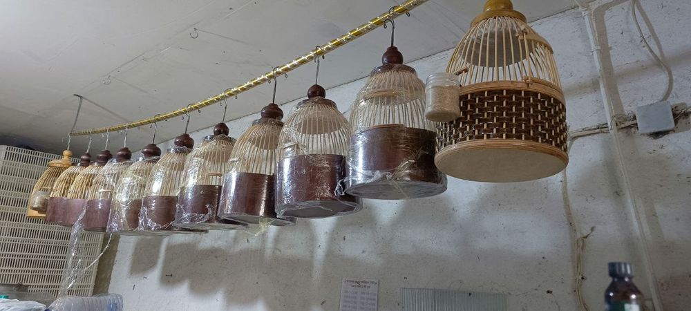 Италия бедана учун кафас italiya bedona uchun qafas тур ковок