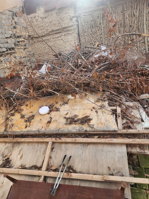 Утин otin бор. Срочно!