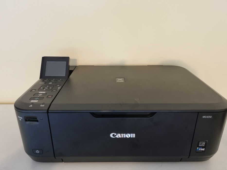 Canon MG4250, funcționează fără probleme, cartuse.