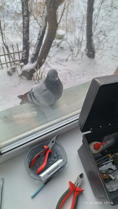 Ремонт окон! Замена уплотнителя!