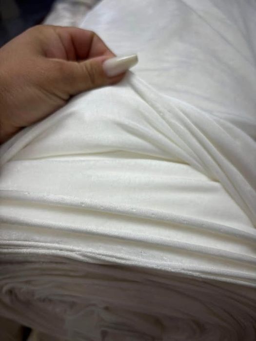 Catifea alba elastica