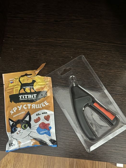 Отдам кошку в хорошие руки