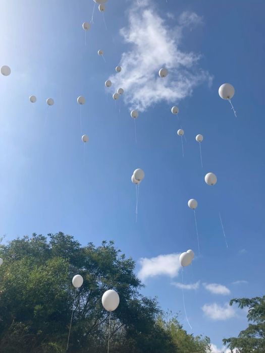 Porumbei și aranjamente