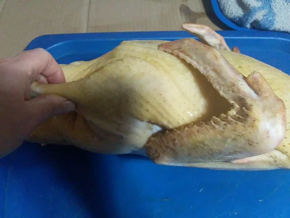 Муларды утки домашние