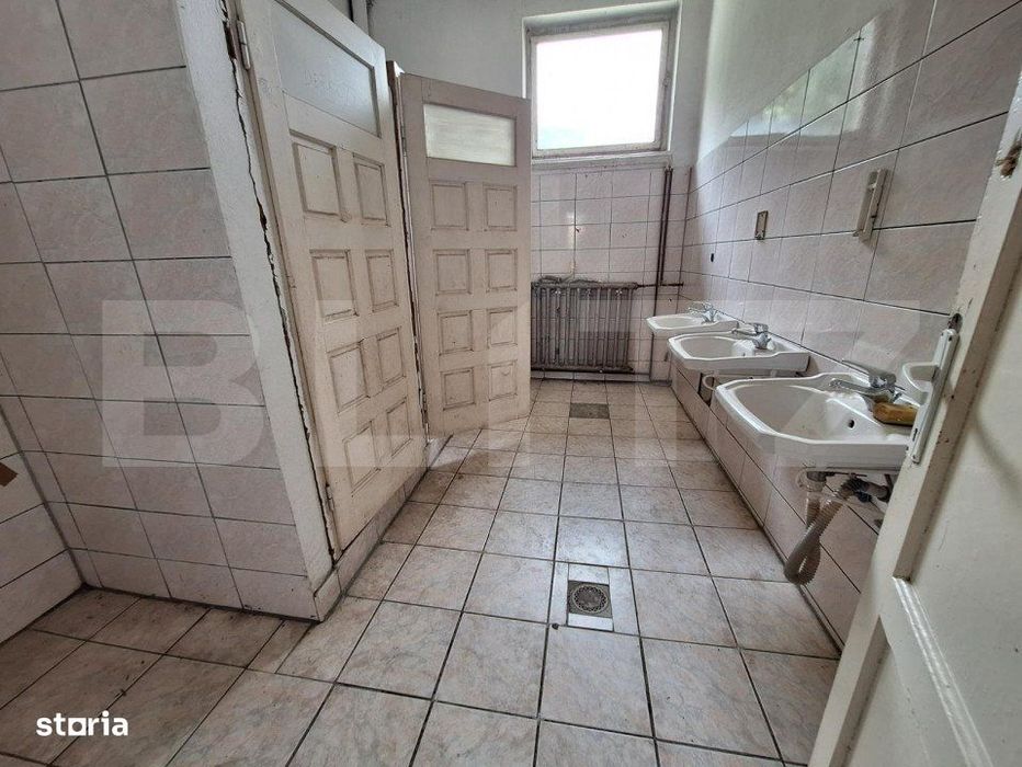 Proprietate de cazare, spatii comerciale, Lugoj