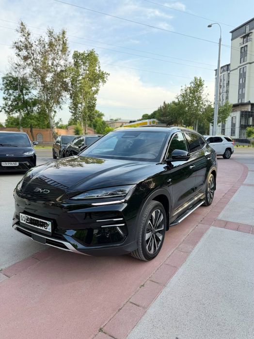 Byd champion smart 2025 yil