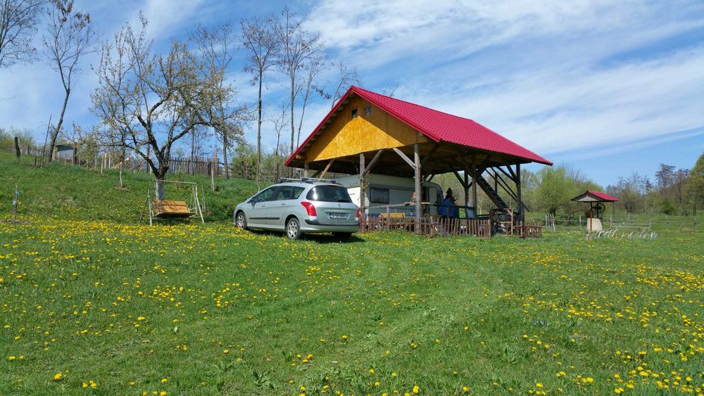 Pamant Intravilan 5 000mp Bradetu Argeș - asfalt, curent, apa, acte, pomi fructiferi, fantana - drenaj