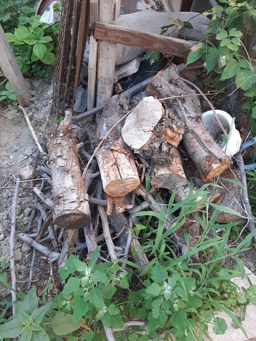 Дрова для бани и  дома