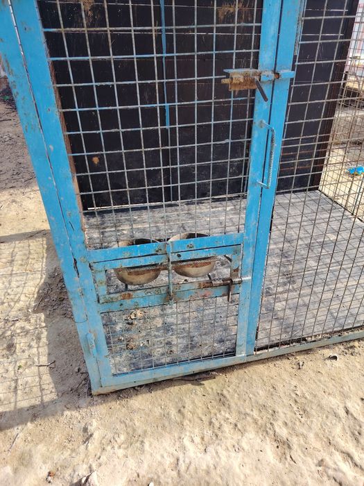 Вольер для сабак