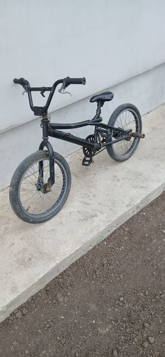 Bicicleta flolosita