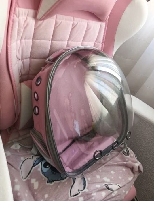 rucsacuri pentru animale de companie