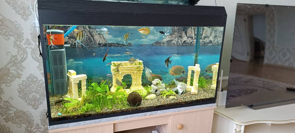 Продам аквариум 200 литров