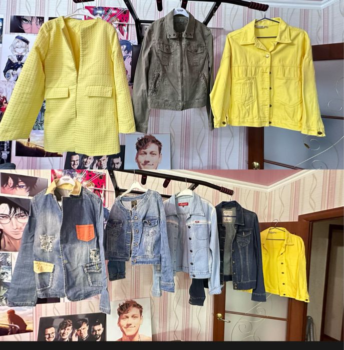 Женская   одежда