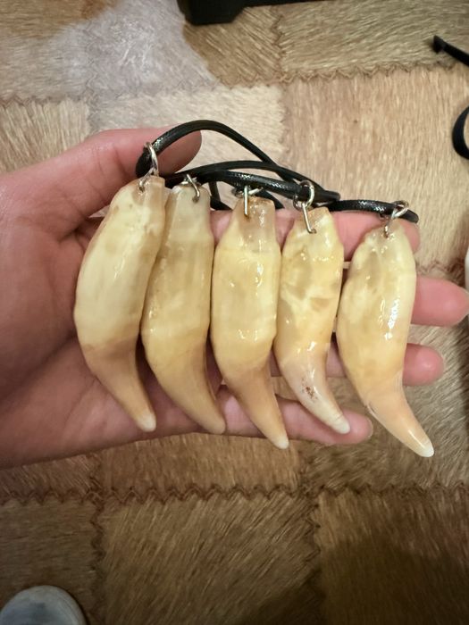 Қасқыр,аю,түлкі терісі