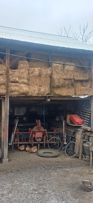 Vand Baloti fan, lucerna