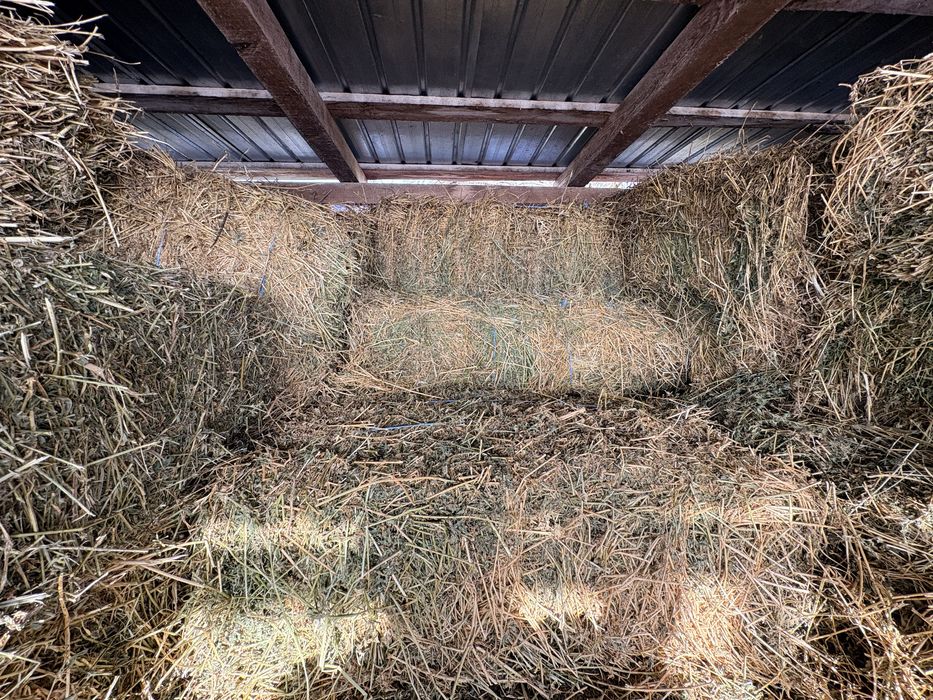 Baloti Lucerna , paie