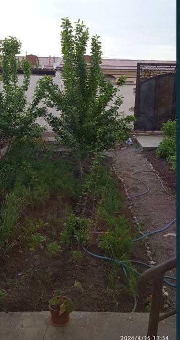 Аэропорт коттедж,2 сотикли