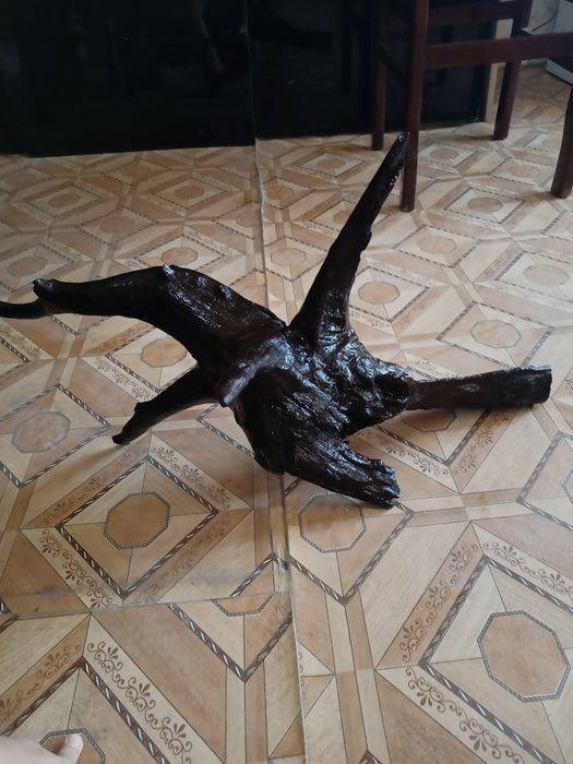 Мангра Карягала сотилади