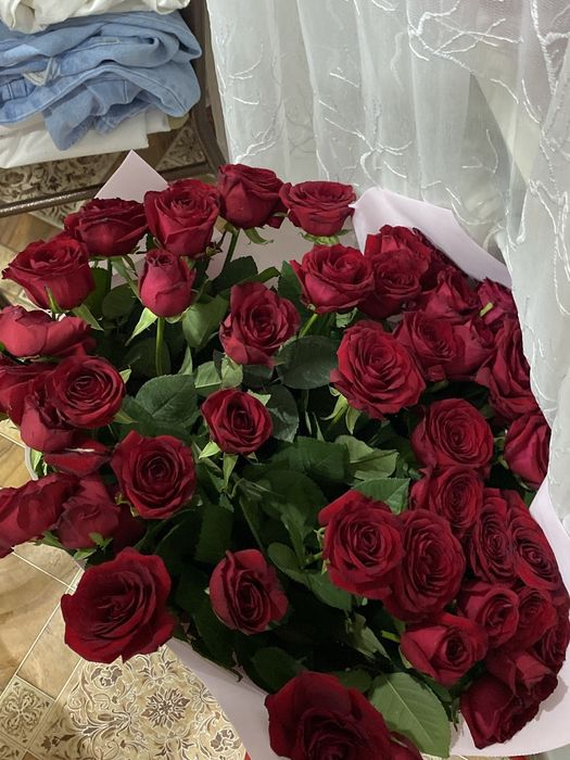 Роза 41 цена 15 000