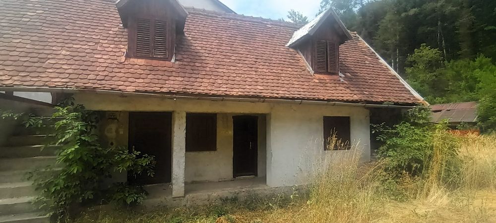 Vând casa Moneasa langa tabăra de copii