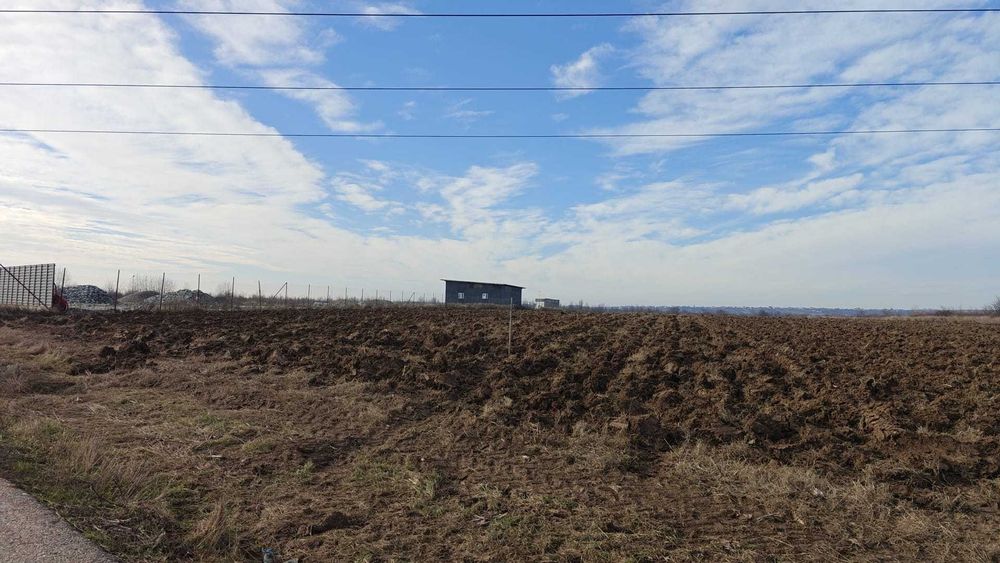 Teren Albota 6514 mp extravilan