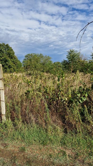 Продава се Парцел в Варна, м-т Траката - 650 кв.м за 25 €/кв.м - Снимка #2