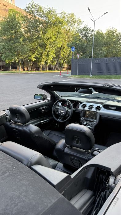 Аренда  прокат Ford Mustang